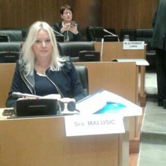 31 October 2014 Deputy Chairperson of the Committee Human and Minority Rights and Gender Equality Ljiljana Malusic at the seminar on the “Role of national parliaments in the implementation of judgments of the European Court of Human Rights”